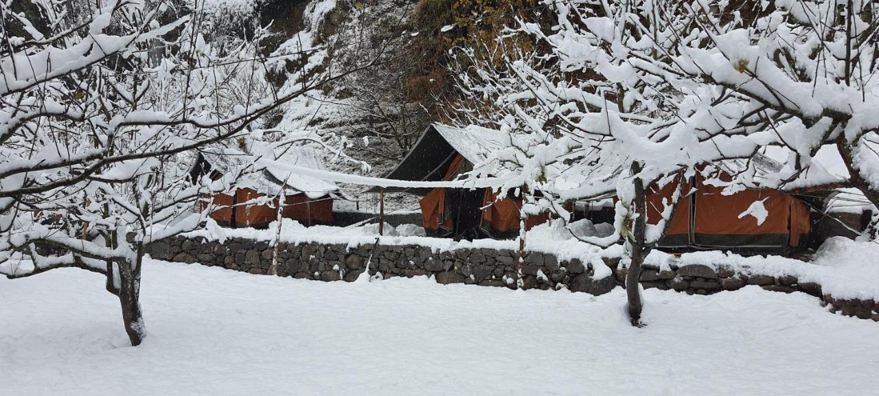 Himtrek Riverside Camps & Hostel Manali エクステリア 写真
