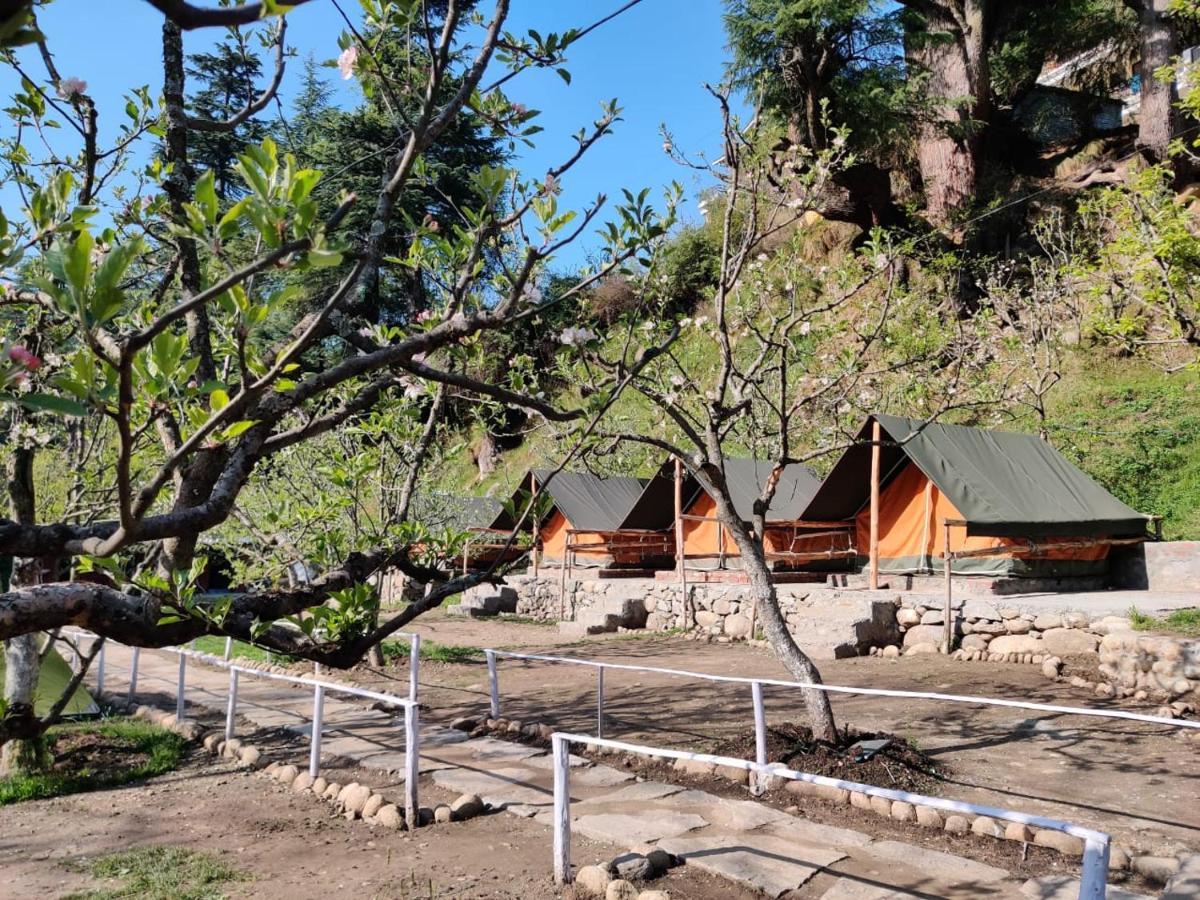 Himtrek Riverside Camps & Hostel Manali エクステリア 写真