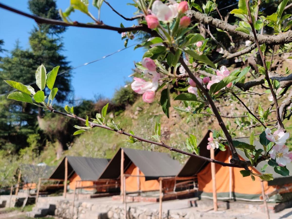Himtrek Riverside Camps & Hostel Manali エクステリア 写真