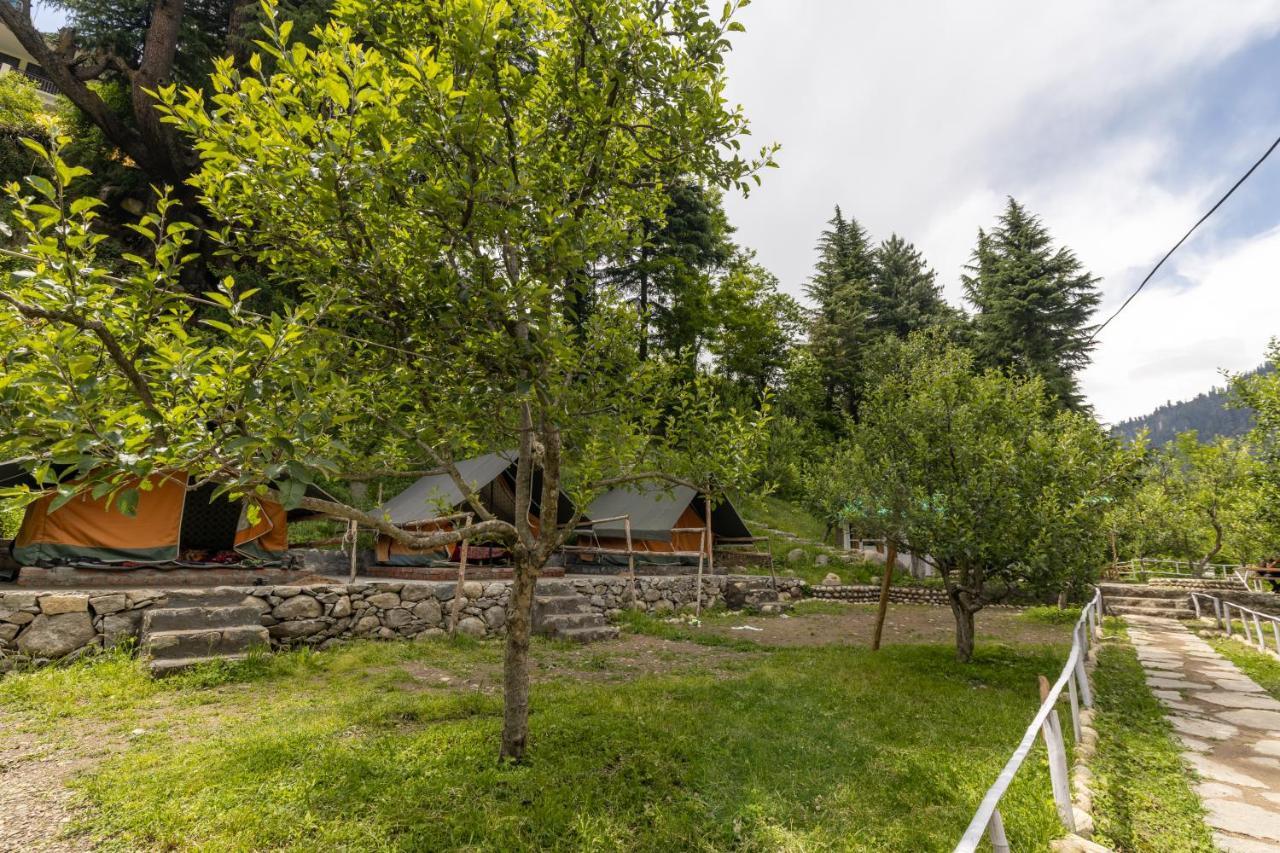 Himtrek Riverside Camps & Hostel Manali エクステリア 写真