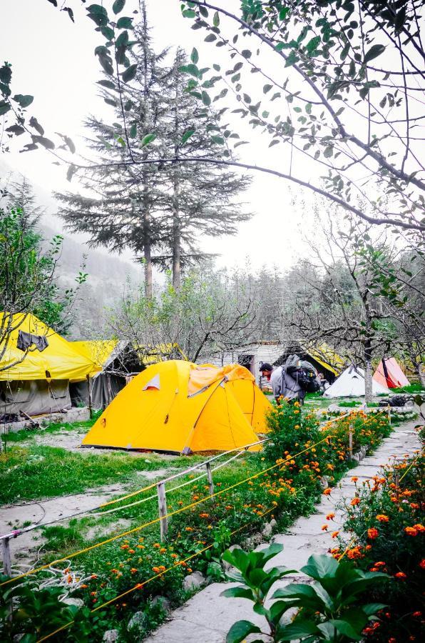 Himtrek Riverside Camps & Hostel Manali エクステリア 写真