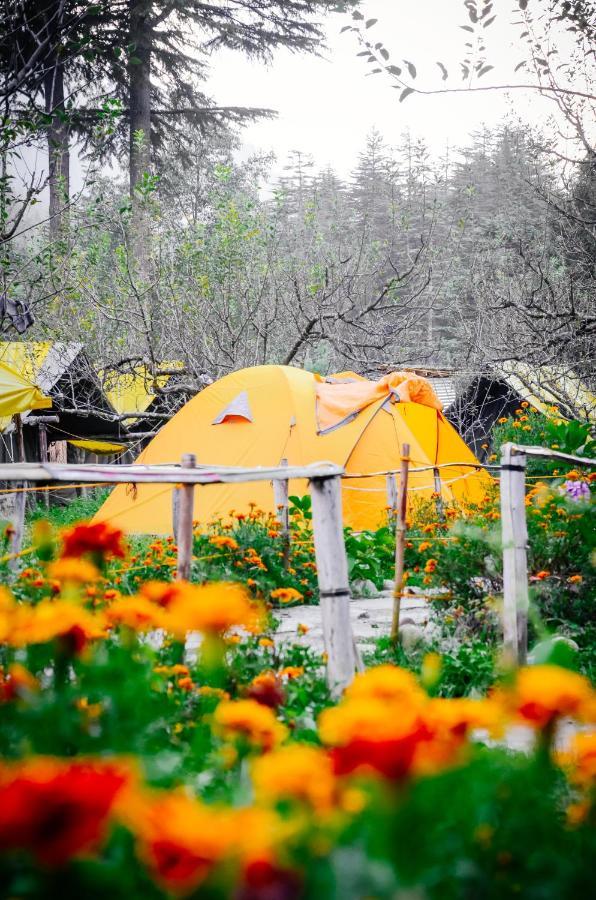 Himtrek Riverside Camps & Hostel Manali エクステリア 写真