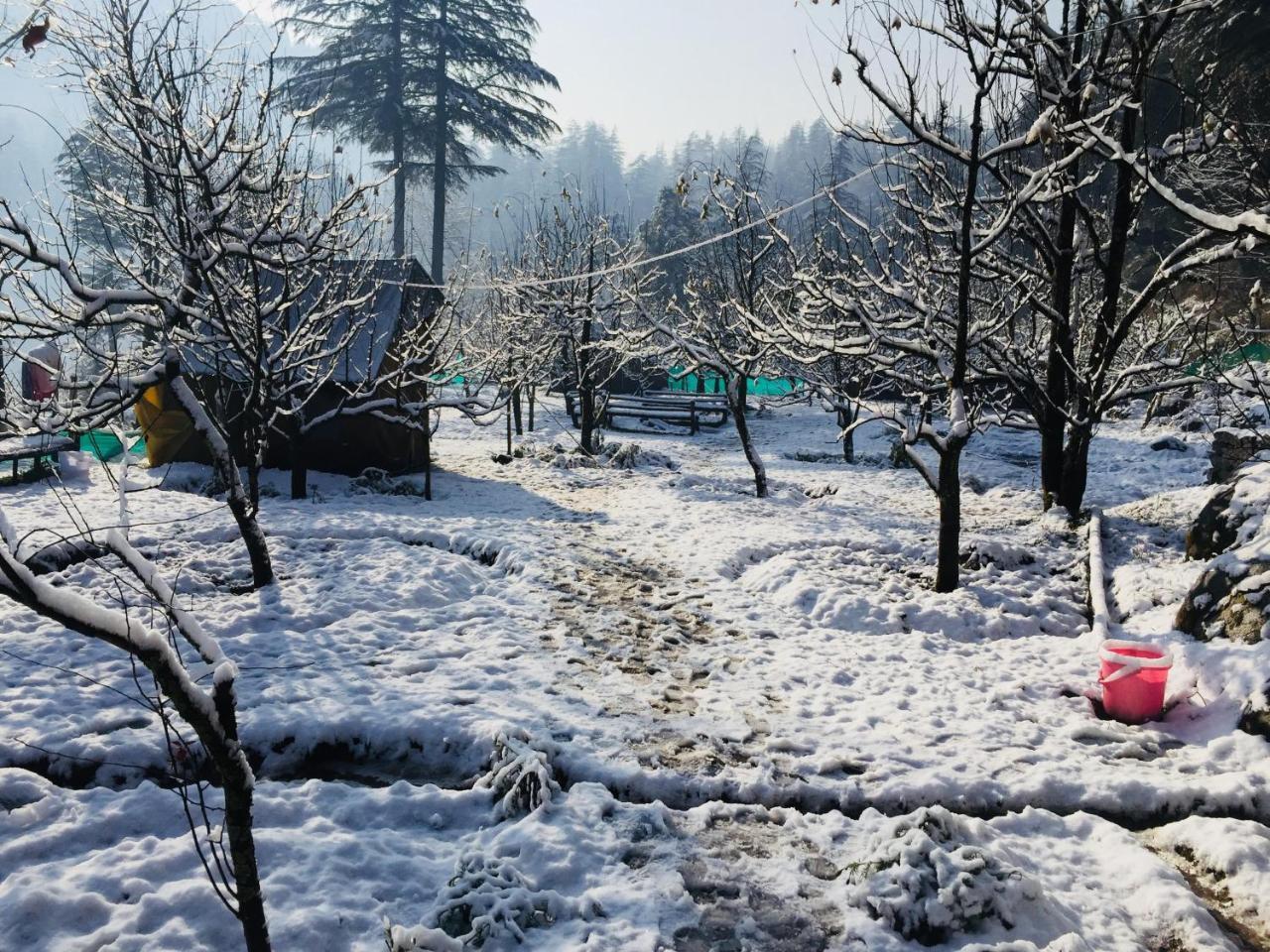Himtrek Riverside Camps & Hostel Manali エクステリア 写真