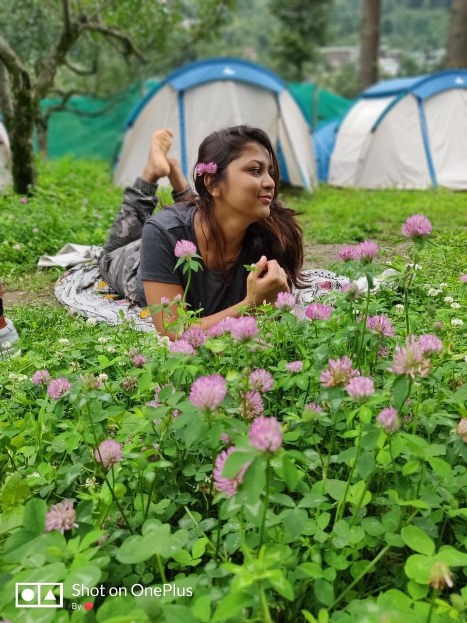 Himtrek Riverside Camps & Hostel Manali エクステリア 写真