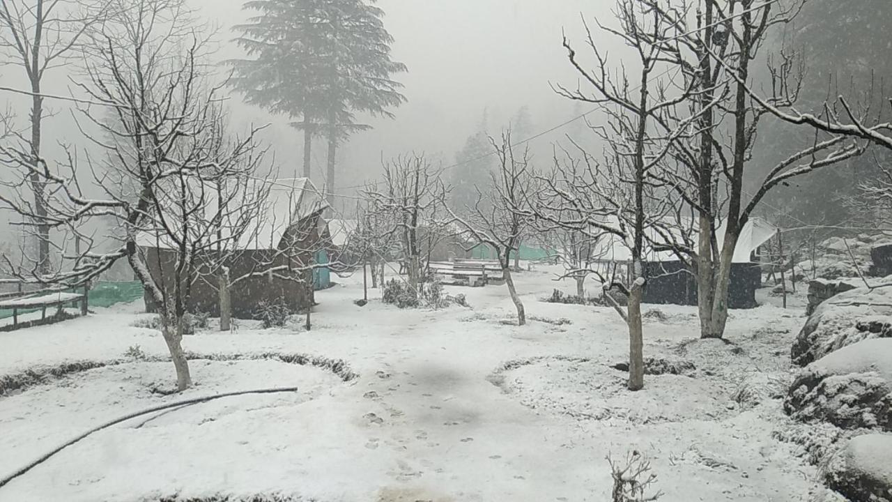 Himtrek Riverside Camps & Hostel Manali エクステリア 写真